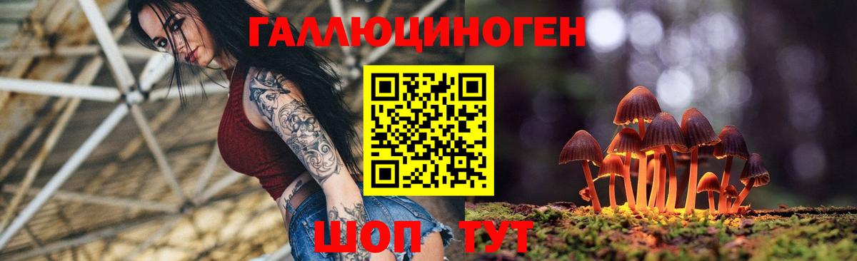 Галлюциногенные грибы Psilocybine cubensis  Вход с VPN  Заречный 